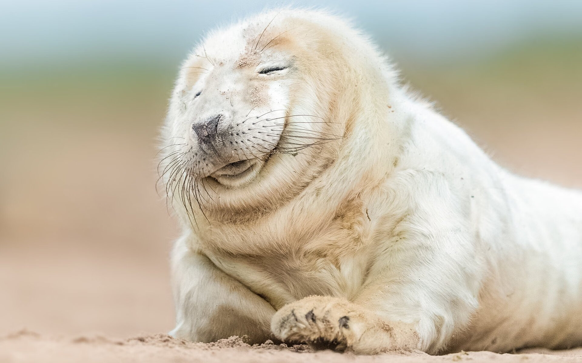 跨时空的战役,从伯纳乌的战术棋局到亚特兰大的青春风暴,体育战略如何主宰胜负